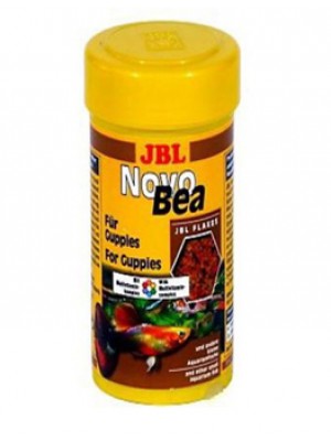 JBL Novo Bea