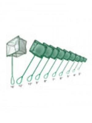 Boyu Rede #14 (35,6 cm)