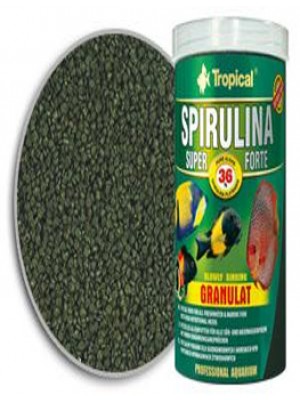 Tropical Spirulina
