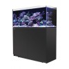 Reefer350Black