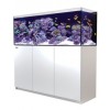 Reefer450Whte