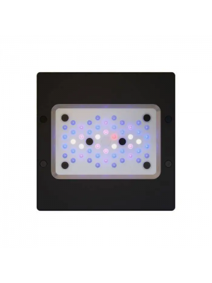 Ecotech Luminária Radion XR15-G6 -PRO