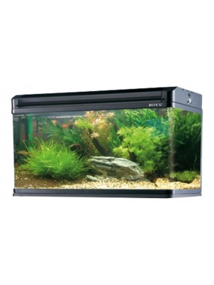 Aquário Curvo Boyu EA-60E LED - 68 Litros Preto ( frete sob consulta ) 