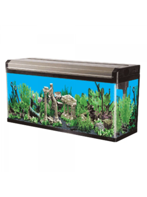 Boyu Aquário Curvo EA-80 LED 148 litros - Preto/Champagne (Frete sob consulta)