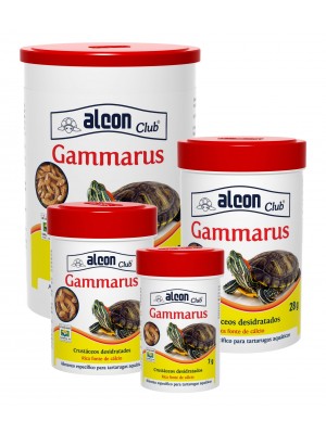 Alcon Gammarus 11G