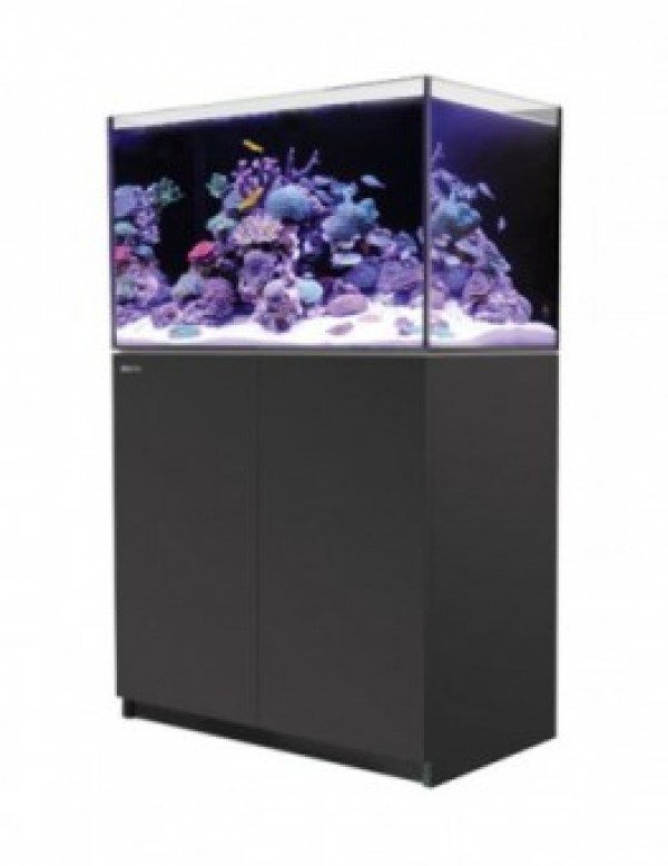 RedSea REEFER 250（V3サンプ）、水流ポンプ、LED等及び生体の完全セット Aquário Red sea Reefer System c/ móvel – Reefer 250 Preto