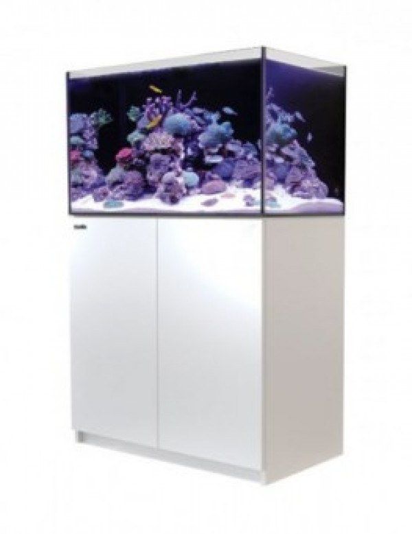 Reefer250White