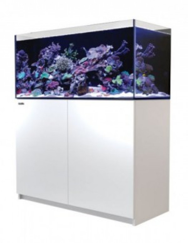 Reefer350Whte
